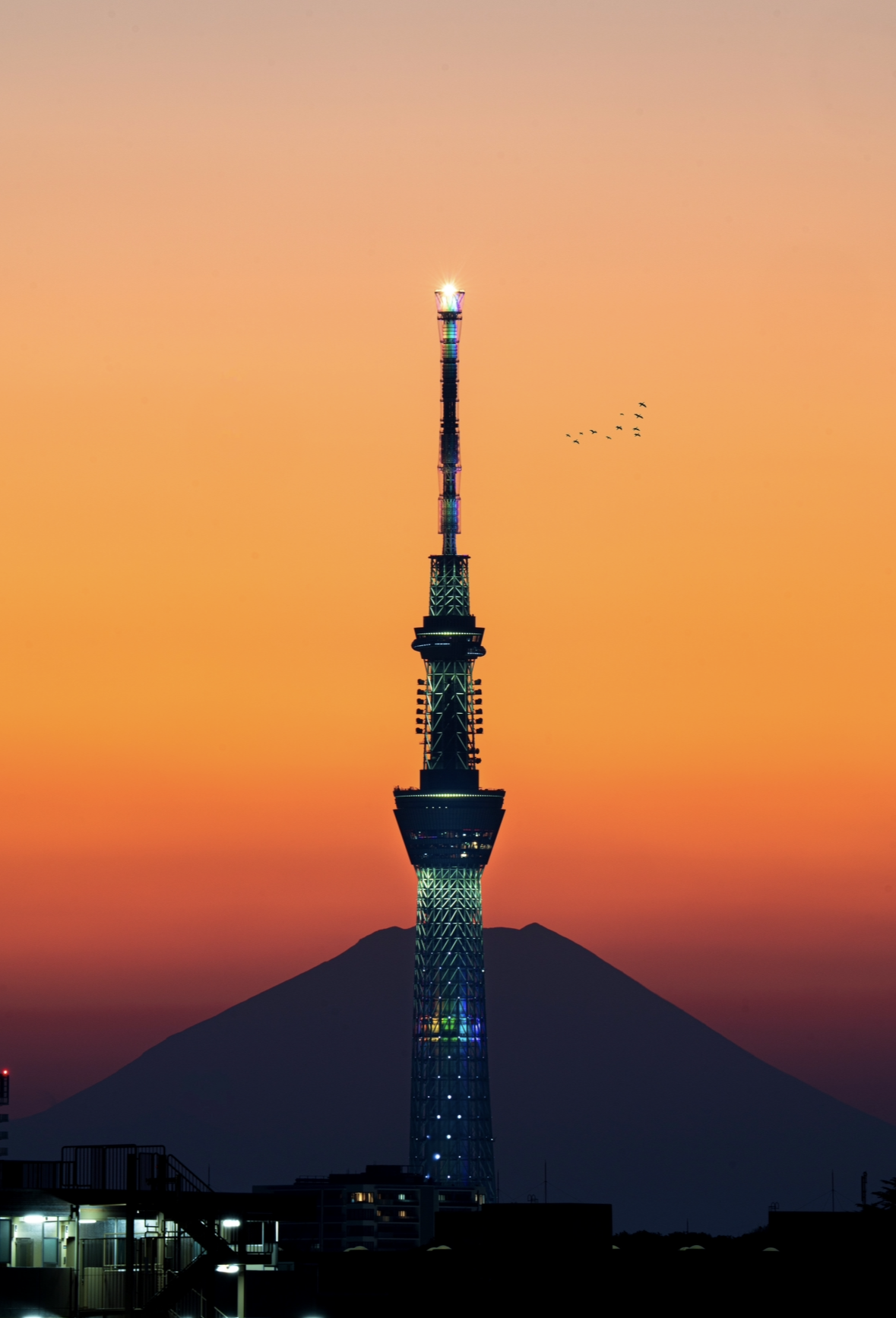 SKY　TREE